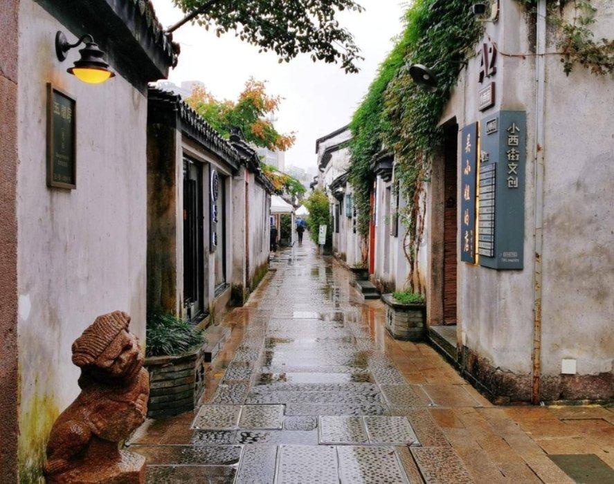 用“电”唤醒“植物人”